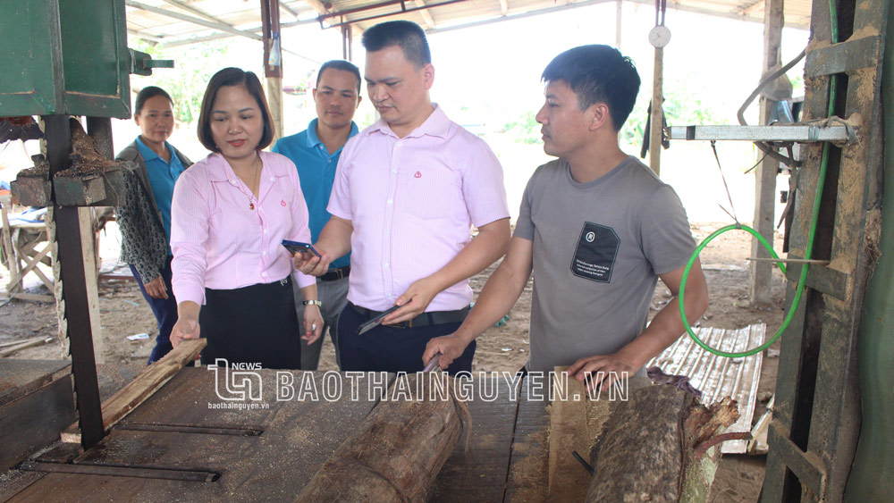 Cán bộ NHCSXH thăm mô hình vay vốn phát triển sản xuất của người dân tại xã Phú Thịnh.