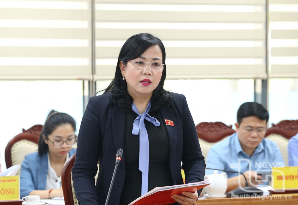 Đồng chí Bí thư Tỉnh ủy Thái Nguyên Nguyễn Thanh Hải phát biểu tại Hội nghị.