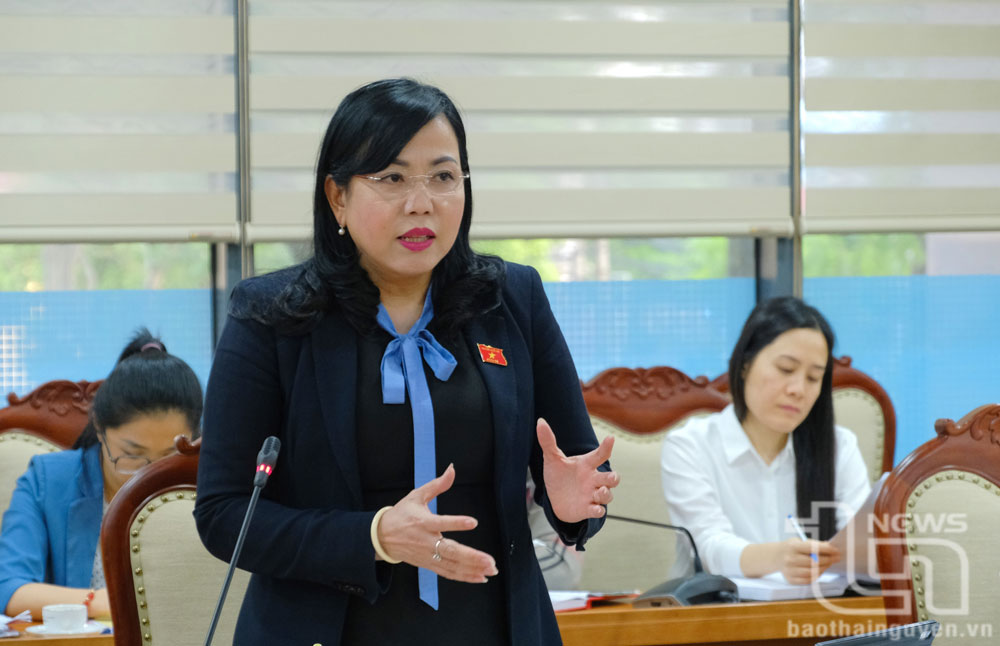 회의에서 발표하는 응우옌 타잉 하이(Nguyễn Thanh Hải) 타이응우옌성의 당위원회 서기