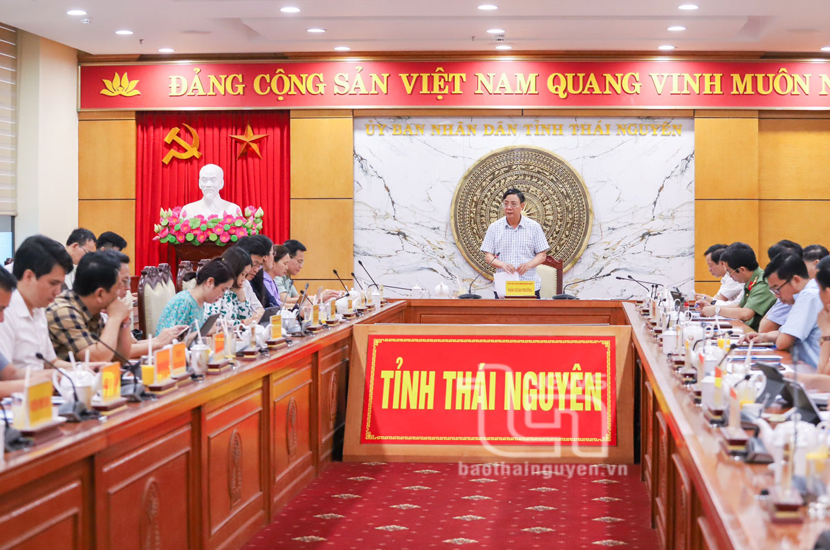 Đồng chí Phó Chủ tịch Thường trực UBND tỉnh Đặng Xuân Trường phát biểu chỉ đạo Hội nghị.
