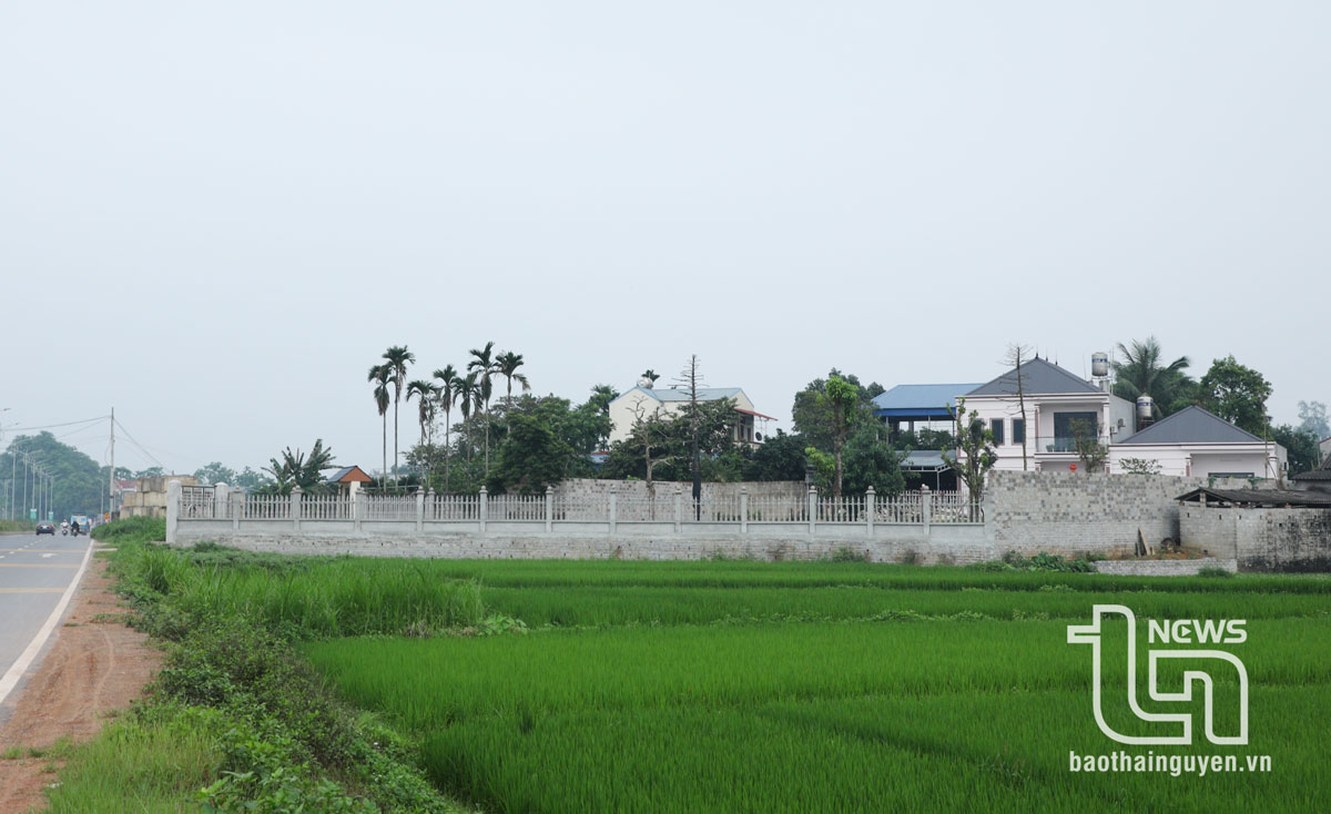 Many residential areas and new houses are being built along both sides of the road, gradually transforming the face of the agricultural lands beyond the Huong Thuong Bridge.