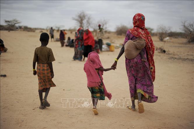 Người dân phải rời bỏ nhà cửa lánh nạn do hạn hán kéo dài tại Dolo Ado, biên giới Ethiopia-Somalia. Ảnh: AFP/TTXVN