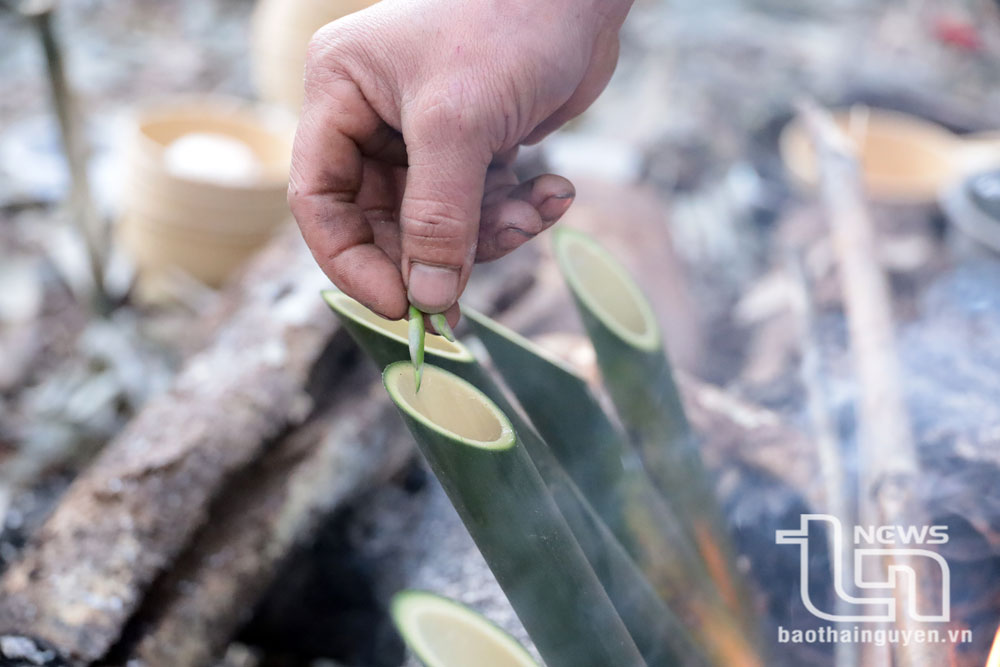 Đoàn khảo sát dùng ống nứa để pha trà cổ giữa đỉnh Tam Đảo mờ sương.