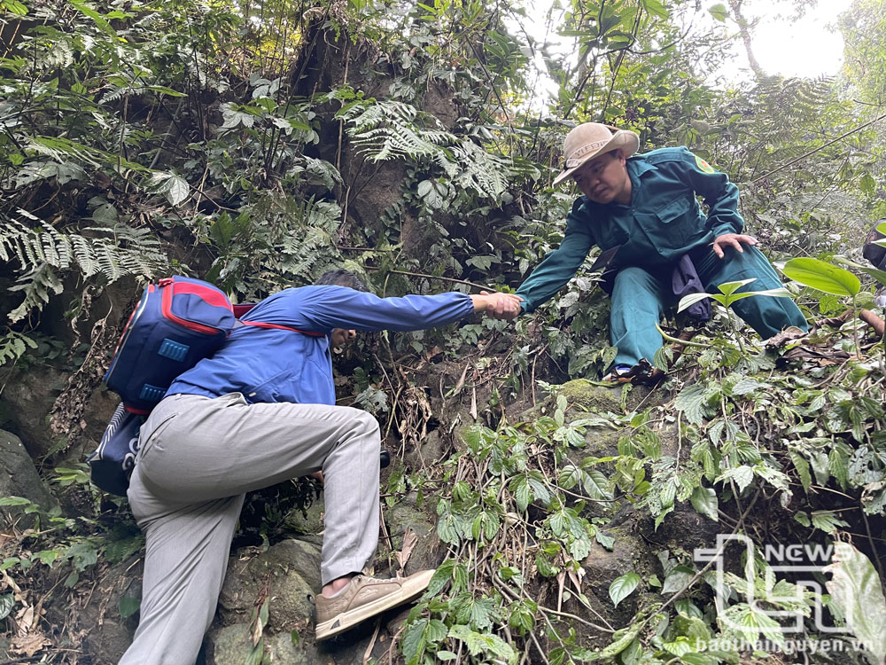 Để ngược núi Tam Đảo, thành viên Đoàn khảo sát phải vượt qua những đoạn dốc gần như dựng đứng.