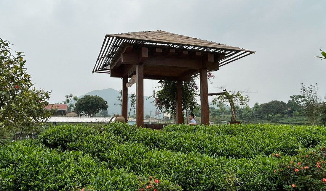 Những điểm ngắm cảnh như thế này xuất hiện nhiều ở vùng chè Tân Cương (Thái Nguyên).