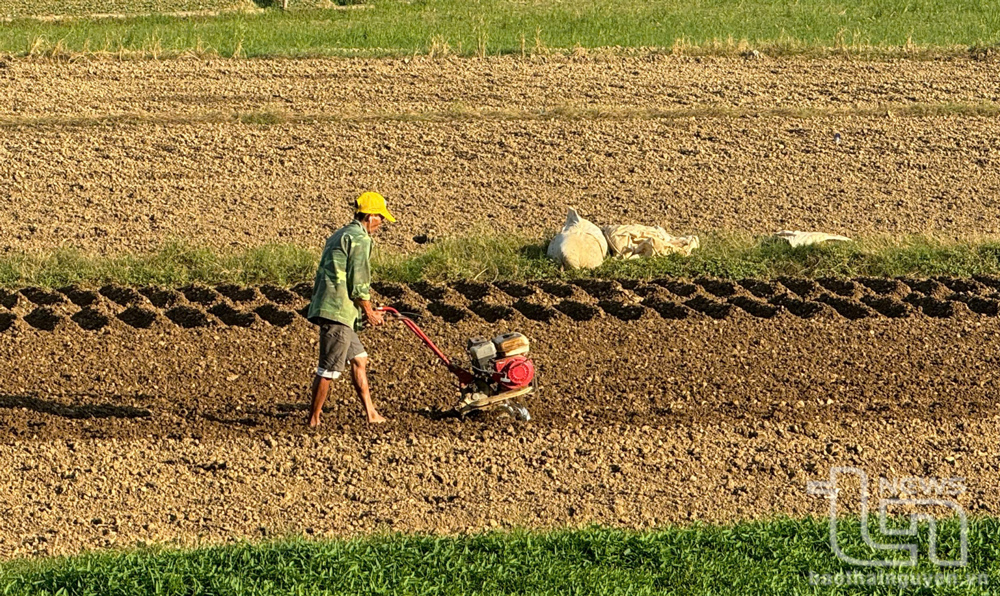 Hiện nay, tỷ lệ cơ giới hóa khâu làm đất cây hàng năm của người dân Thái Nguyên đạt khoảng 92%.