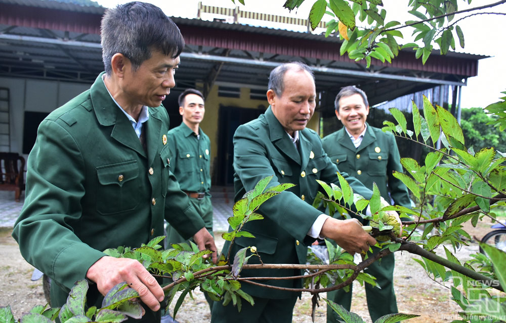 Các thành viên Câu lạc bộ Hội viên CCB làm kinh tế giỏi xóm Hiên Bình chia sẻ kỹ thuật chăm sóc na rải vụ.