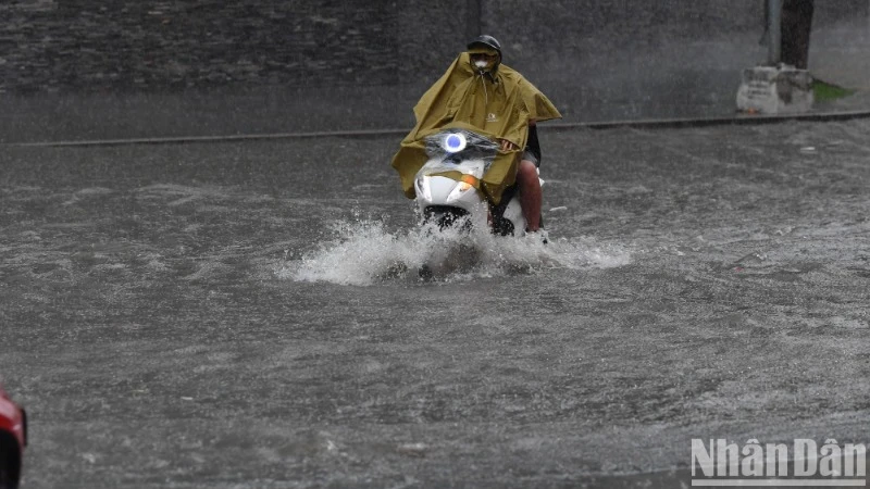 (Ảnh: THÀNH ĐẠT)