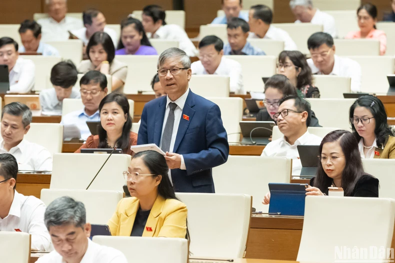 Đại biểu Nguyễn Anh Trí phát biểu thảo luận. (Ảnh: BÙI GIANG)