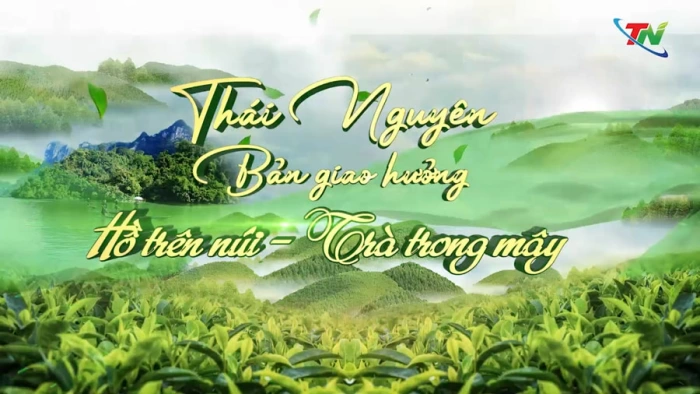 Thái Nguyên: Bản giao hưởng Hồ trên núi - Trà trong mây
