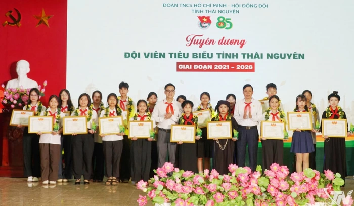 Tuyên dương 85 giáo viên Tổng phụ trách và đội viên xuất sắc