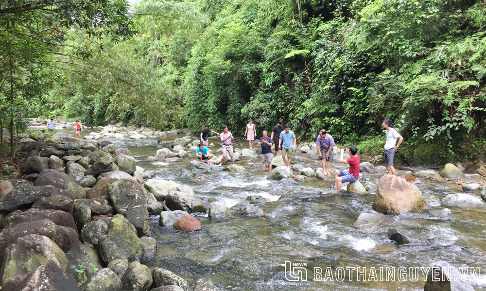Các dòng suối từ Vườn quốc gia Tam Đảo tạo cảnh quan phục vụ phát triển du lịch.