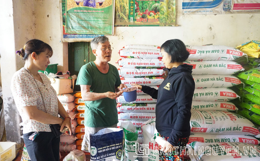 Ông Hùng Thế Việt, chủ cửa hàng kinh doanh của Chi nhánh Vật tư nông nghiệp Đồng Hỷ, giới thiệu các loại phân bón.