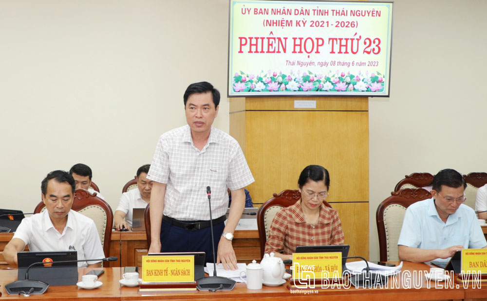 Đại diện Ban Kinh tế - Ngân sách HĐND tỉnh phát biểu tại Phiên họp.