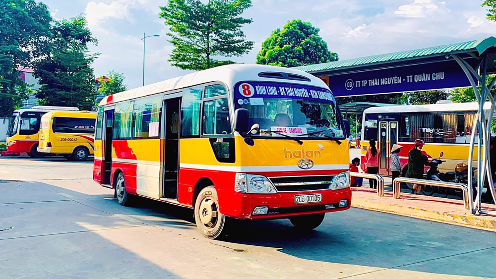 荷兰商贸和旅游股份公司的巴士运输活动