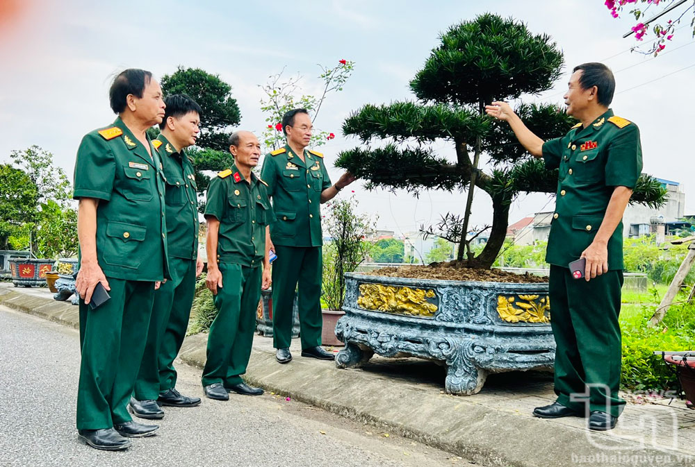 Đội ngũ doanh nhân cựu chiến binh tỉnh Thái Nguyên phần lớn là người cao tuổi.