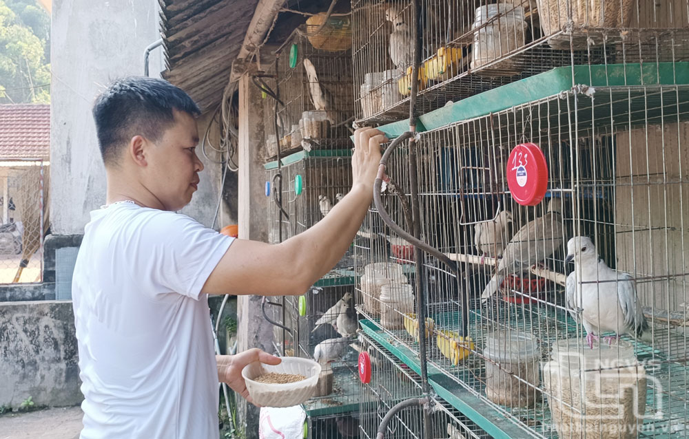 Đồng chí Dương Văn Đạt, Phó Bí thư Chi bộ xóm Na Bì, là một đảng viên gương mẫu, đi đầu trong phát triển kinh tế với mô hình nuôi chim cảnh.