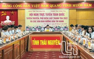 Thái Nguyên: Phát hiện 282 đơn vị, cá nhân sai phạm qua thanh tra