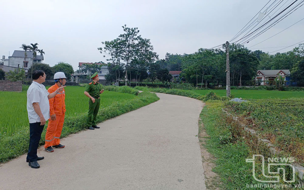 Điện lực Phú Lương phối hợp với cơ quan chức năng tiến hành kiểm tra an toàn hành lang lưới điện trên địa bàn.
