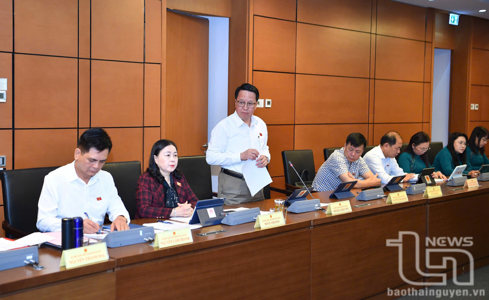 Đại biểu Hoàng Anh Công (Đoàn đại biểu Quốc hội tỉnh Thái Nguyên) phát biểu tại tổ thảo luận.