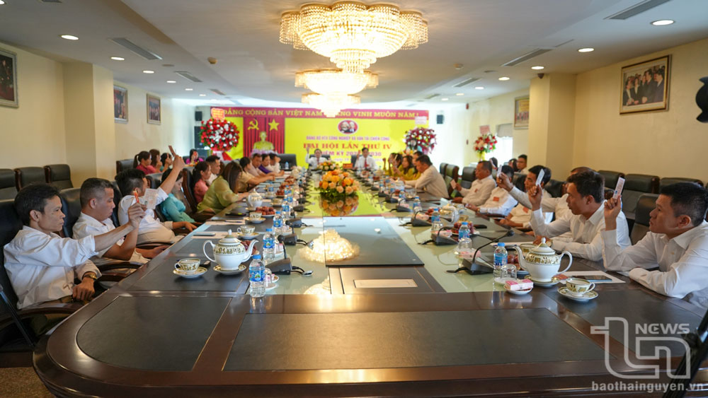 Các đại biểu biểu quyết thông qua Nghị quyết Đại hội.