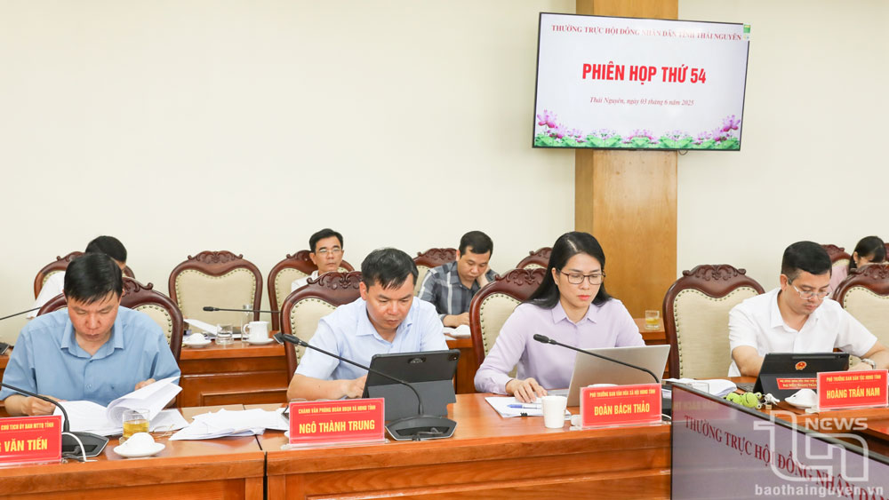 Các đại biểu dự Phiên họp.