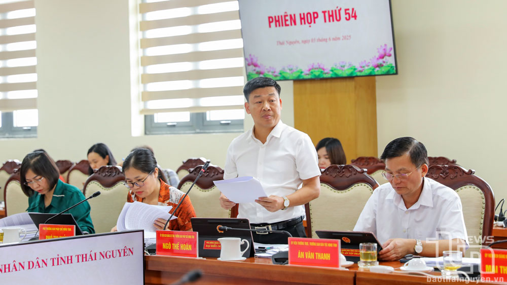 Các đại biểu phát biểu tại Phiên họp.