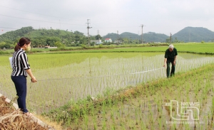 HĐND huyện Phú Lương: Tăng cường khảo sát, giải quyết sớm nhiều vấn đề