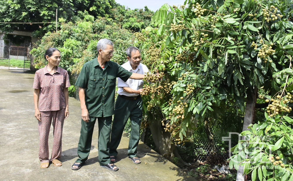 Ông Vũ Thành Ninh, 70 tuổi, xóm Tướng Quân, xã Hoá Thượng (Đồng Hỷ), bệnh binh, nạn nhân chất độc da cam, là tấm gương điển hình phát triển kinh tế ở địa phương. Mỗi năm, từ cây ăn quả, nuôi ong, gia đình ông thu lãi trên 100 triệu đồng.