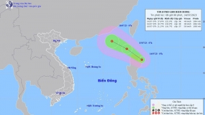 Chủ động ứng phó áp thấp nhiệt đới