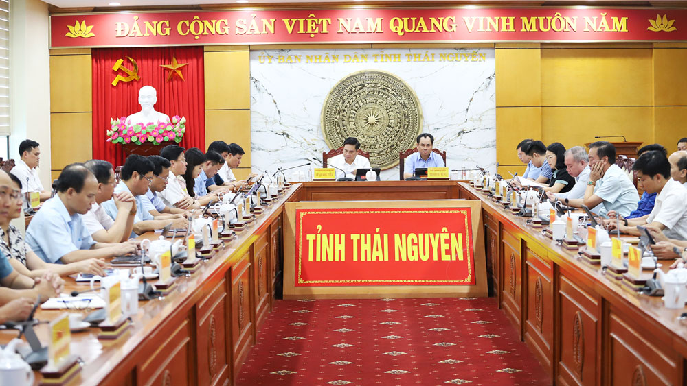 Các đại biểu dự Hội nghị tại điểm cầu Thái Nguyên.