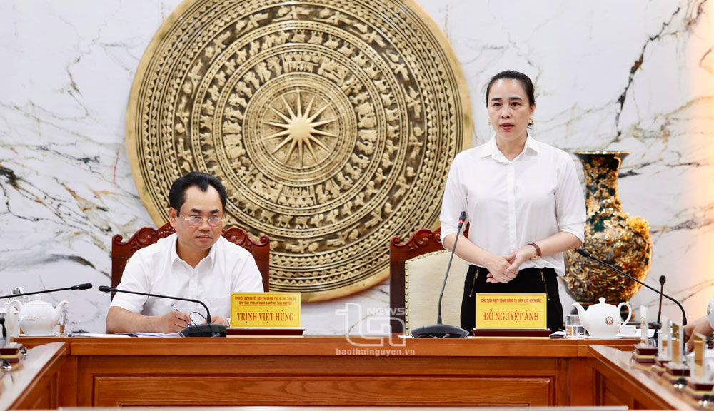 Bà Đỗ Nguyệt Ánh, Bí thư Đảng uỷ, Chủ tịch Hội đồng thành viên EVNNPC phát biểu tại buổi làm việc.