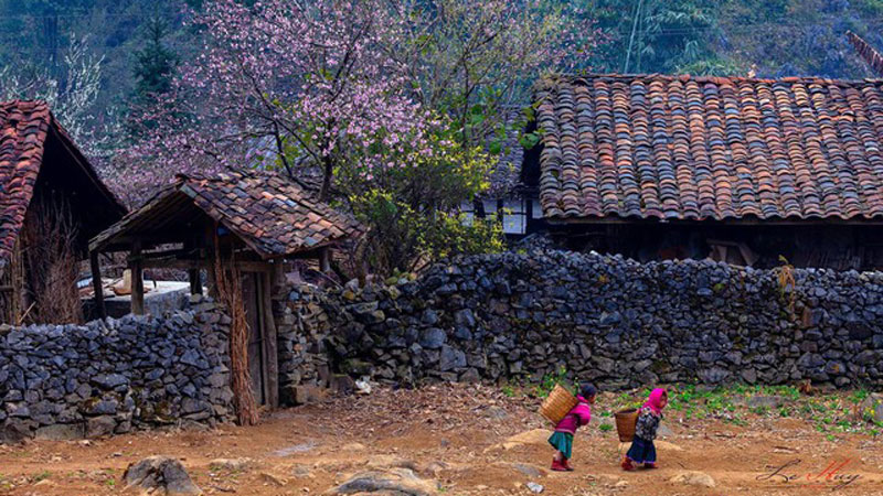 Vẻ đẹp Cao nguyên đá Đồng Văn, Hà Giang. Ảnh: Lê Huy