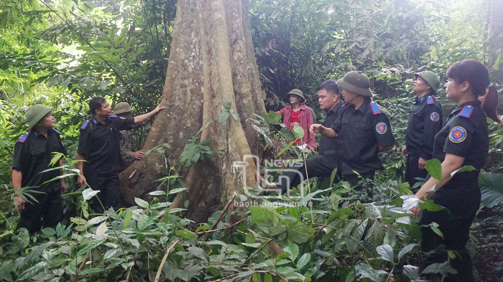 Cán bộ Ban Quản lý rừng đặc dụng, phòng hộ tỉnh cùng người dân xã Sảng Mộc tuần tra rừng.
