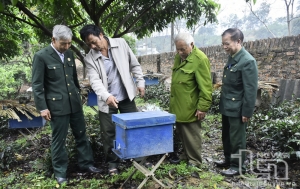 Cựu chiến binh phát huy vai trò giám sát, phản biện xã hội