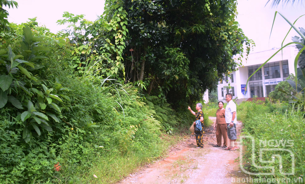 Khu đất của các gia đình: Ông Nguyễn Đình Chiền, bà Hoàng Thị Bình (ở tổ 2, phường Tân Thịnh, TP. Thái Nguyên) hiện chưa được đền bù xong do chưa đồng thuận.