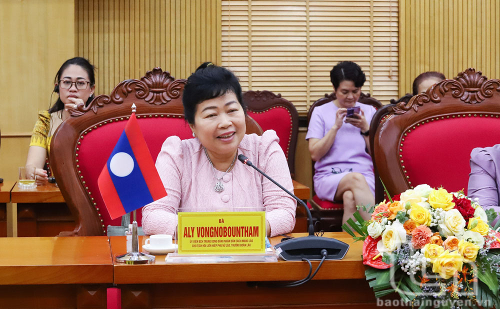 President of the Lao Womens Union Aly Vongnobountham, spoke at the working session. 