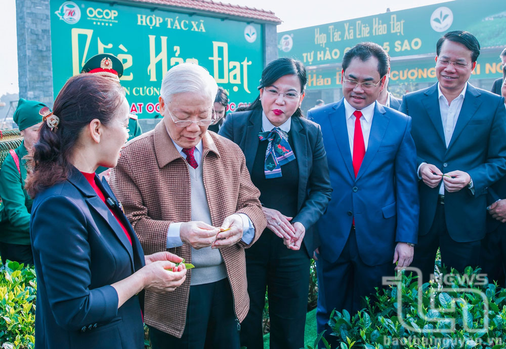 Tổng Bí thư Nguyễn Phú Trọng thăm vườn chè hữu cơ của HTX chè Hảo Đạt, ngày 10/1/2023.