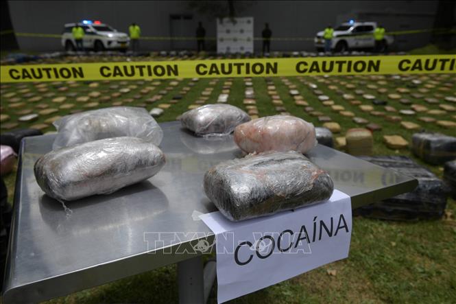 Cảnh sát trưng bày số cocaine thu giữ tại Bogota, Colombia. Ảnh tư liệu: AFP/TTXVN