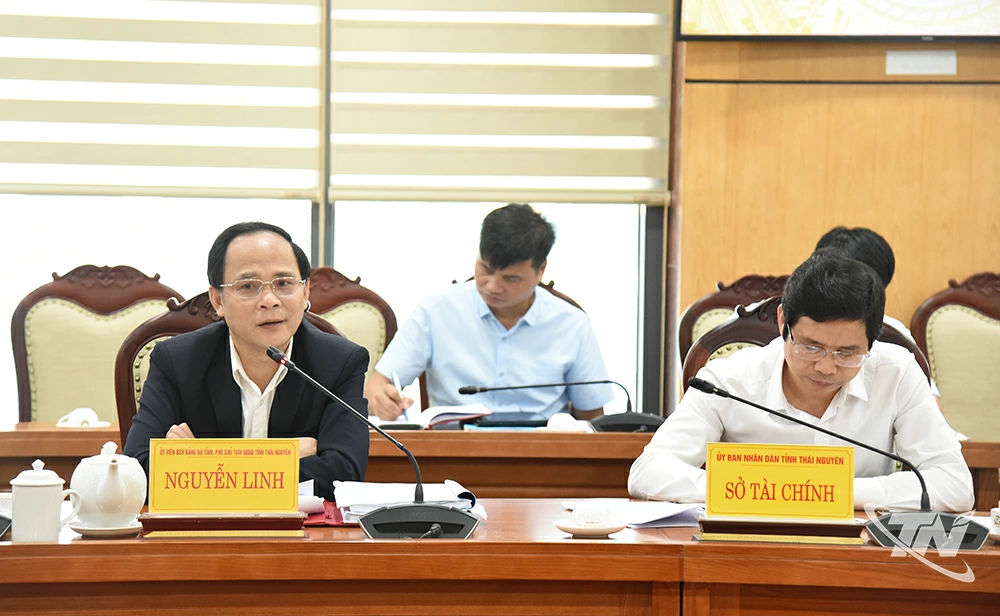 Đồng chí Nguyễn Linh, Phó Chủ tịch UBND tỉnh Thái Nguyên, phát biểu.