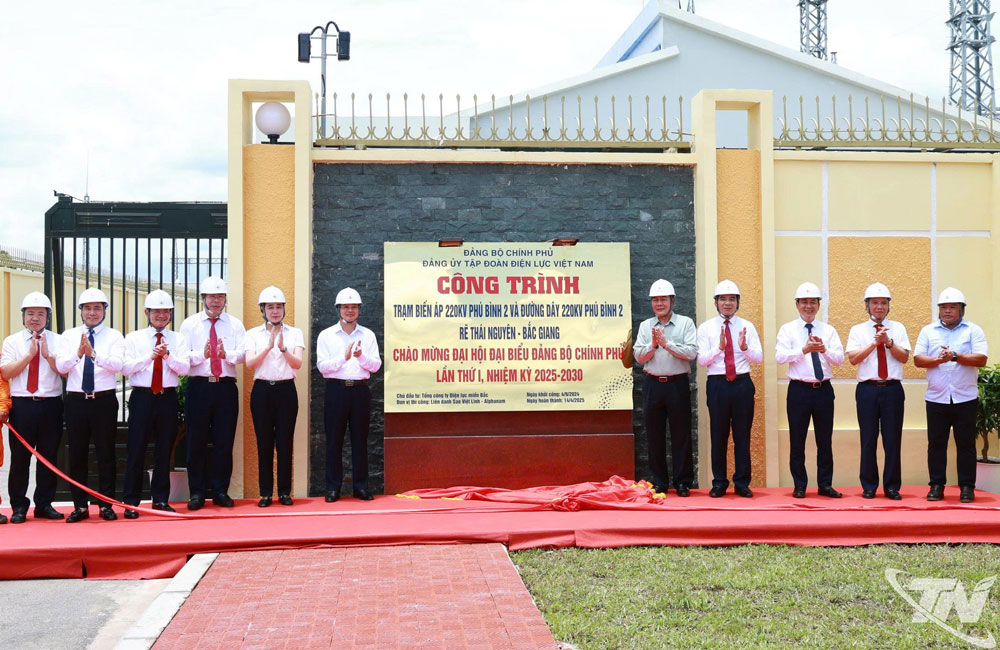 Các đại biểu tham gia nghi thức gắn biển Công trình Trạm biến áp 220kV Phú Bình 2 và đường dây 220kV rẽ Thái Nguyên - Bắc Giang.