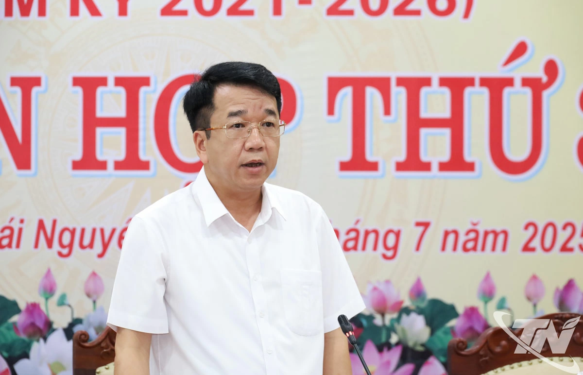 Đồng chí Phó Chủ tịch Thường trực UBND tỉnh Nguyễn Thanh Bình phát biểu tại Phiên họp.