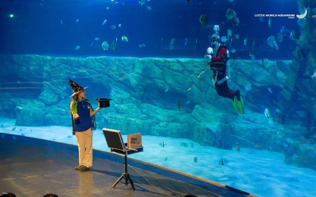 Buổi diễn ảo thuật tại thủy cung Lotte.
