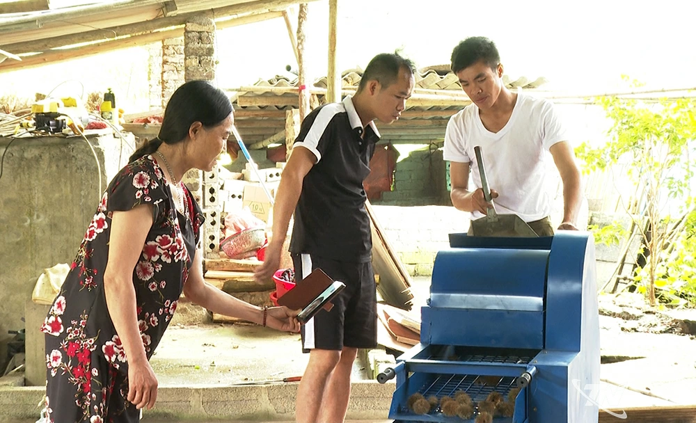 Bà Bàn Thị Ngân, Giám đốc HTX Hợp Phát, ở xã Ngân Sơn, trao đổi qua Zalo với đơn vị cung cấp thiết bị bóc tách vỏ quả dẻ.