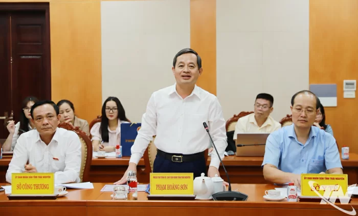 Sớm cụ thể hóa dự án dùng Matcha từ trà Thái Nguyên để sản xuất thực phẩm, đồ uống