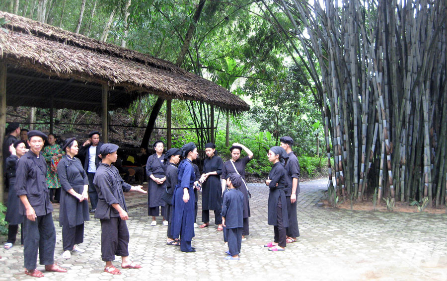 Bên gốc tre làng (Ảnh chụp tại Khu bảo tồn làng nhà sàn du lịch sinh thái Thái Hải, xã Tân Cương).