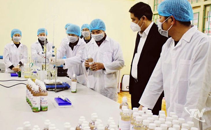 Người được hưởng chính sách thu hút nhân tài phải cam kết làm việc tại các cơ quan, đơn vị của tỉnh tối thiểu 5 năm; trường hợp vi phạm cam kết phải bồi hoàn kinh phí theo quy định. Ảnh minh họa.