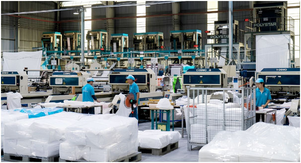 Xưởng Bao Bì Nhựa Xanh trực tiếp sản xuất và in túi sinh học theo yêu cầu.