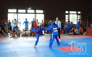 Phú Lương: Lần đầu tổ chức giải Vovinam thanh, thiếu niên