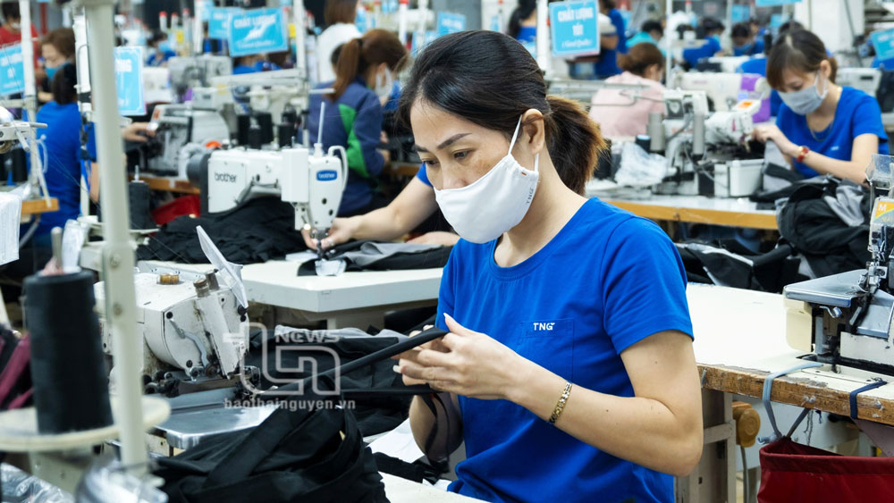 TNG Investment and Trading Joint Stock Company produces garments for export. Photo: Lang Khoa